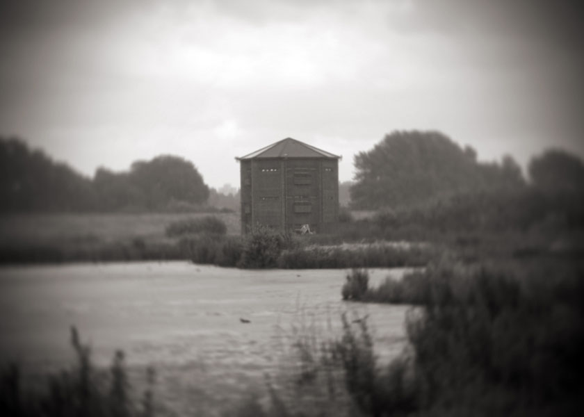 Peacock tower